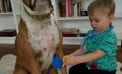 Baby and Dog Baby and Dog
