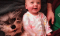 Baby and Dog Baby and Dog