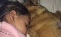 Baby and Dog Baby and Dog