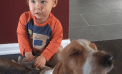 Baby and Dog Baby and Dog