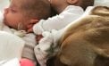 Baby and Baby and Dog Baby and Baby and Dog