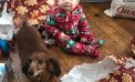 Baby and Dog Baby and Dog