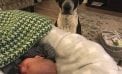 Baby and Dog Baby and Dog