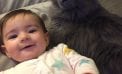 Baby and … Cat Baby and … Cat