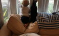 Baby and Dog Baby and Dog