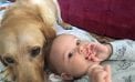 Baby and Dog Baby and Dog