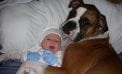 Baby and Dog Baby and Dog