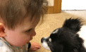Baby and Dog Baby and Dog