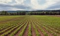 It’s 2050. Can Farmers Still Feed Us? It’s 2050. Can Farmers Still Feed Us?