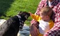 Baby and Dog Baby and Dog