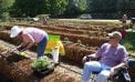 Roots and Shoots: A Garden in a Bale Roots and Shoots: A Garden in a Bale