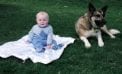 Baby and Dog Baby and Dog