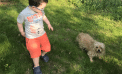 Baby and Dog Baby and Dog