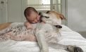 Baby and Dog Baby and Dog