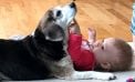 Baby and Dog Baby and Dog