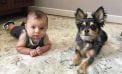 Baby and Dog Baby and Dog