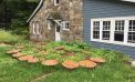 Roots and Shoots: Designing a New Garden, Part 2 Roots and Shoots: Designing a New Garden, Part 2