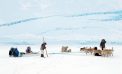 Arctic Killer Arctic Killer