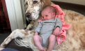 Baby and Dog Baby and Dog