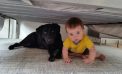 Baby and Dog Baby and Dog