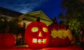 Halloween Happenings Halloween Happenings