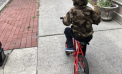 Kid Friendly: A Day in the Life Kid Friendly: A Day in the Life