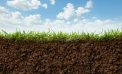 Could Soil Save Us? Could Soil Save Us?