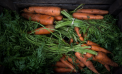Hudson Valley Farms, by the Numbers Hudson Valley Farms, by the Numbers