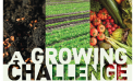 A Growing Challenge (Part 2) A Growing Challenge (Part 2)