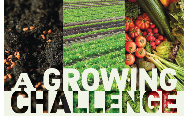 A Growing Challenge (Part 2) A Growing Challenge (Part 2)