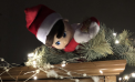 Kid Friendly: Making the Magic Kid Friendly: Making the Magic