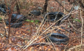 More Tires Dumped in Garrison More Tires Dumped in Garrison