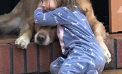Baby and Dog Baby and Dog