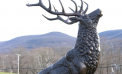 A Visit with the Beacon Elks A Visit with the Beacon Elks