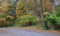 Letter: Secor Easement Letter: Secor Easement