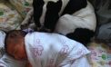 Baby & Dog Baby & Dog