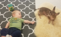 Baby and Dog Baby and Dog