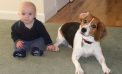 Baby and Dog Baby and Dog
