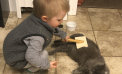 Kid Friendly: When a Pet Dies Kid Friendly: When a Pet Dies