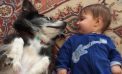 Baby and Dog Baby and Dog