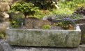 Roots and Shoots: Timberline Vista, Homemade Trough Roots and Shoots: Timberline Vista, Homemade Trough