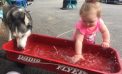 Baby and Dog Baby and Dog
