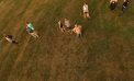Up & Away (Photos) Up & Away (Photos)
