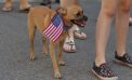 Independence Day in Cold Spring (Photos) Independence Day in Cold Spring (Photos)