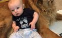 Baby and Dog Baby and Dog