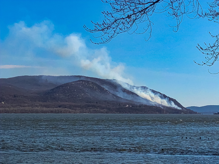 brush-fire-cronin