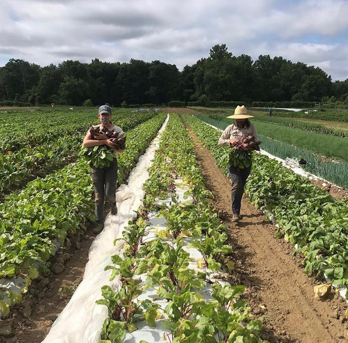 Poughkeepsie Farm Project
