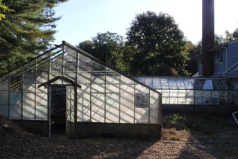 The late afternoon sun shines on the greenhouse panes.