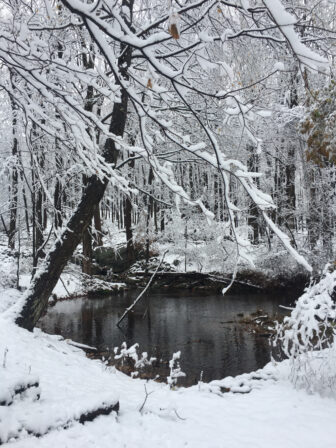 Winter pond