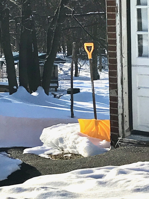 IMG_1249 shovel